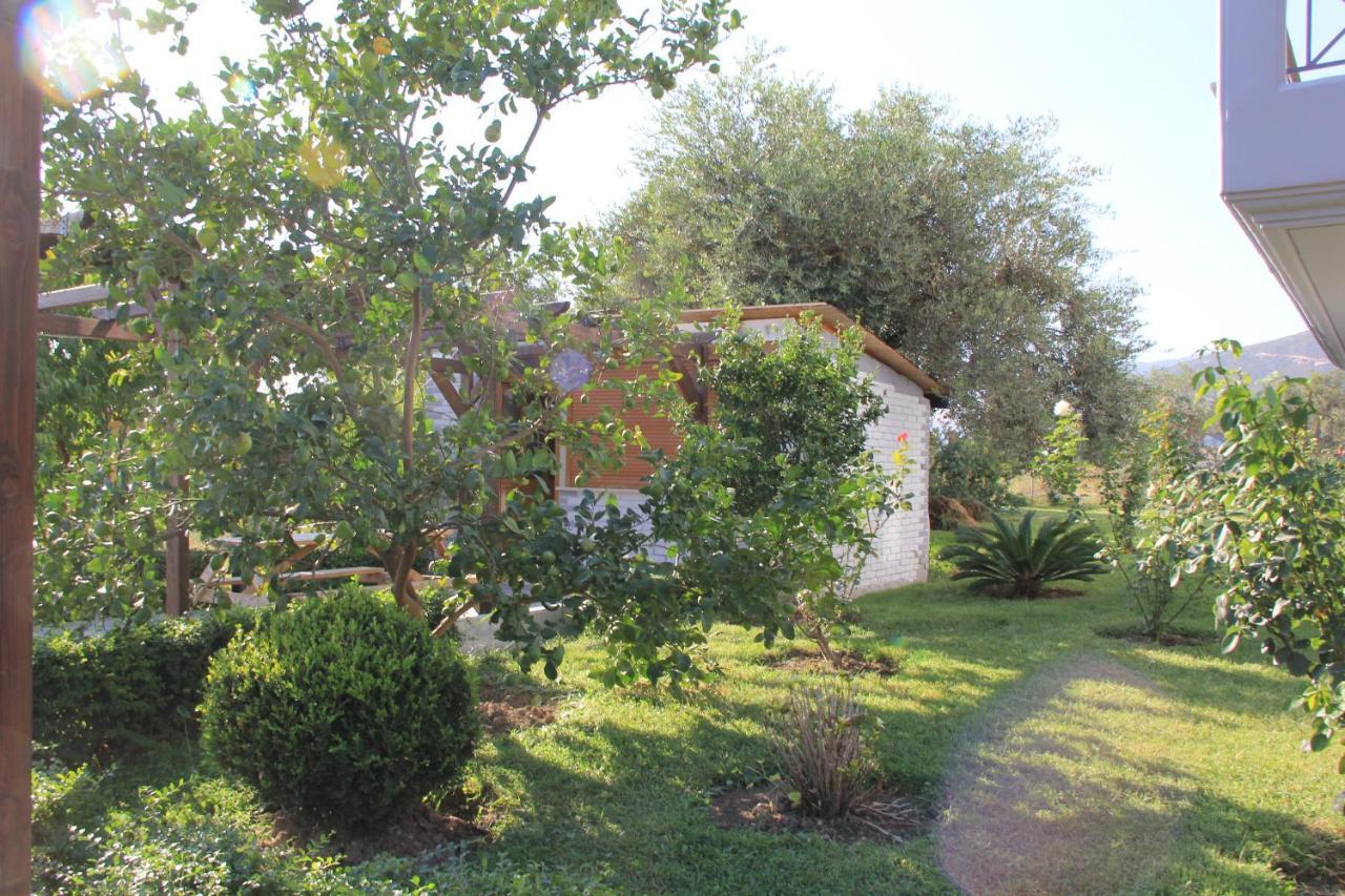 Vila Hadhri Borsh Extérieur photo